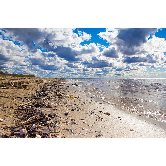 Plage polluée